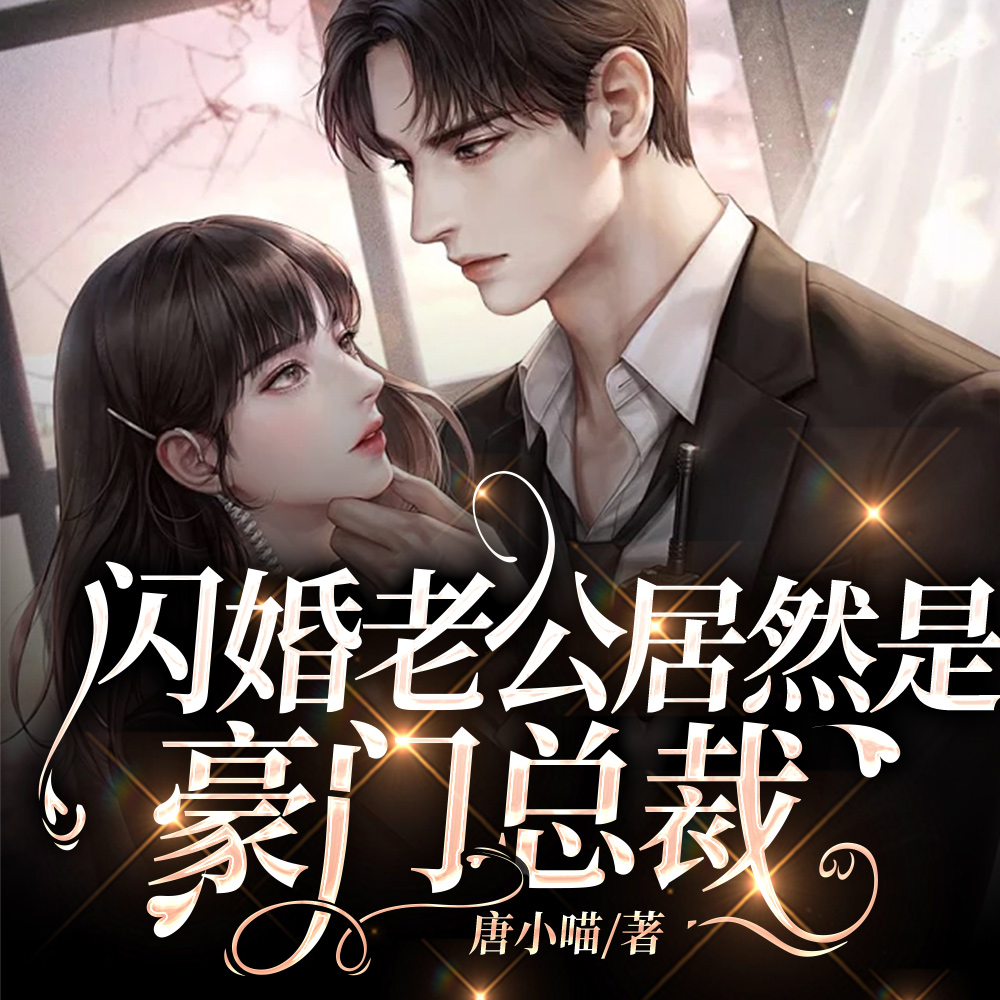 闪婚老公居然是豪门总裁
