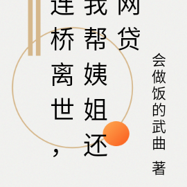 连桥离世,我帮姨姐还网贷