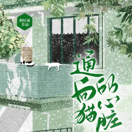 通向猫的心脏
