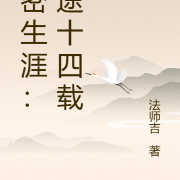 绝密生涯：归途十四载
