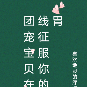 团宠宝书网