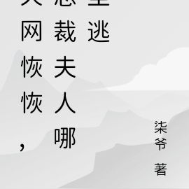 天网恢恢，总裁夫人哪里逃