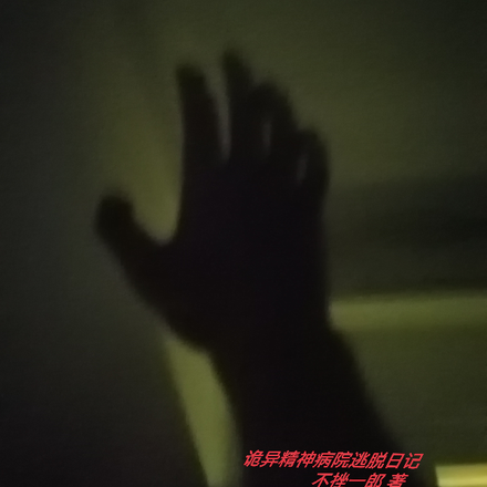 诡异精神病院逃脱日记