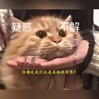 大哥，你确定我们这是在拯救世界