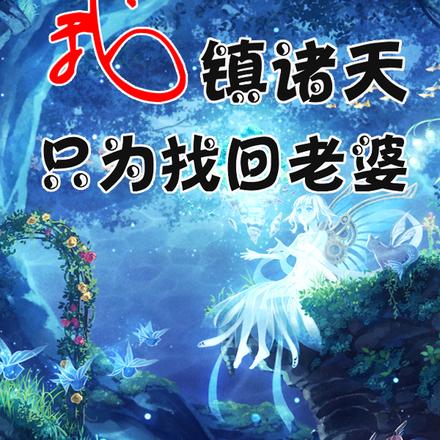 我镇诸天,只为找回老婆