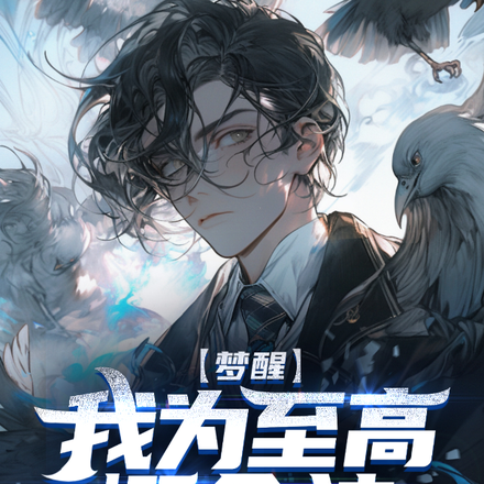 梦醒,我为至高概念神