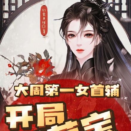 大周第一女首辅,开局带萌宝科举
