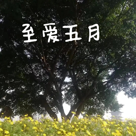 至爱五月