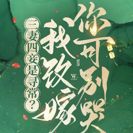 三妻四妾是寻常？我改嫁你可别哭