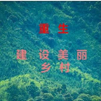 重生,建设美丽乡村