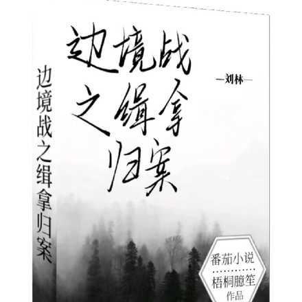 边境战之缉拿归案