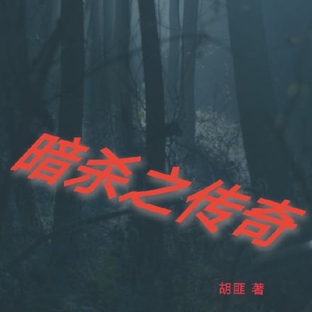暗杀之传奇