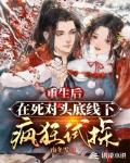 重生后,在死对头底线下疯狂试探!