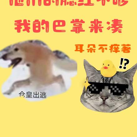 他们的腮红不够,我的巴掌来凑!