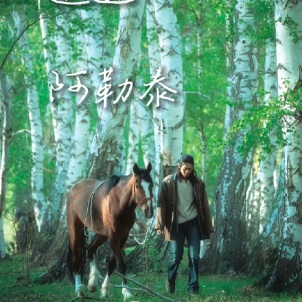 邂逅，在阿勒泰