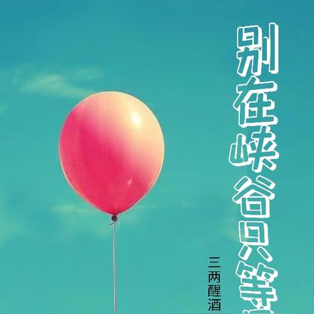 别在峡谷只等风