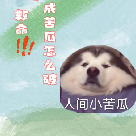 穿越成苦瓜怎么破