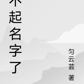 不起名字了
