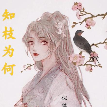 知枝为何