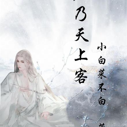 君乃天上客