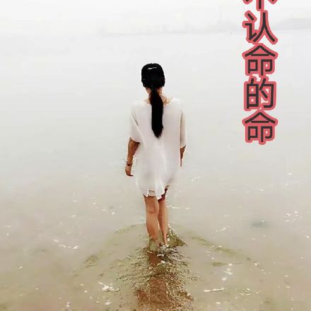 不认命的命