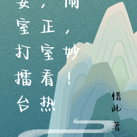 妾室打擂台,正室看热闹,妙!
