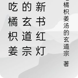 爱吃橘枳姜汤的玄道宗的新书红灯