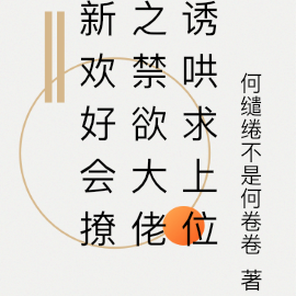 新欢好会撩之禁欲大佬诱哄求上位