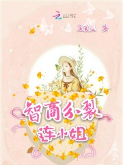 智商分裂连小姐