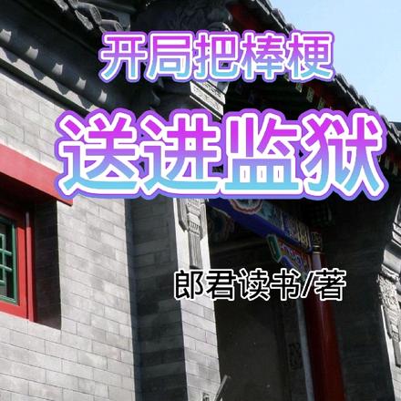 四合院：开局把棒梗送进监狱