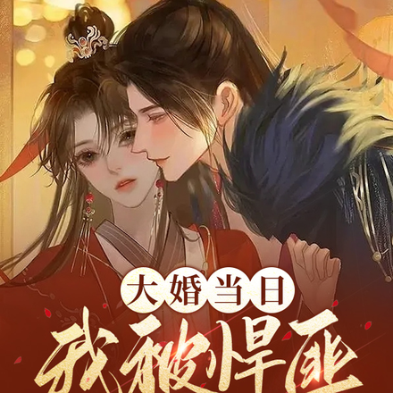 大婚当日,我被悍匪头头抢了