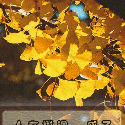 人在树洞，成了树洞精灵？