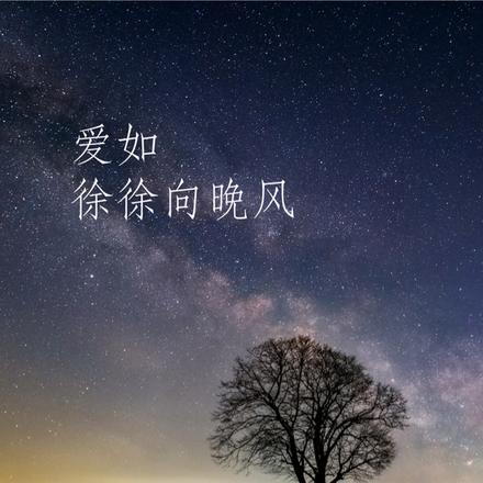爱如徐徐向晚风
