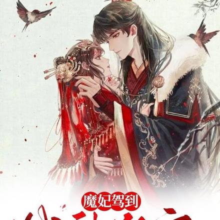 魔妃驾到:战神狂宠