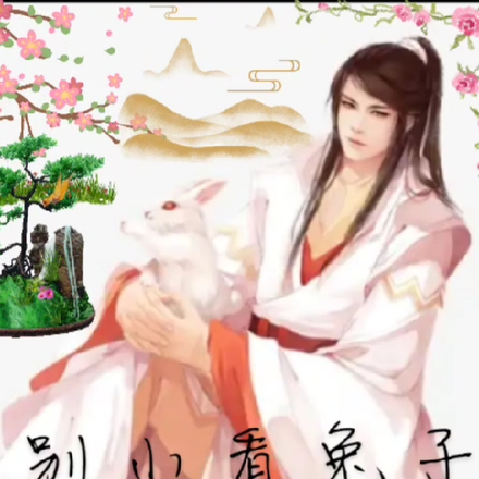 别小看兔子