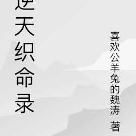 逆天织命录