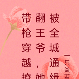 带枪穿越撩翻王爷,她被全城通缉
