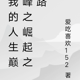 我的人生巅峰之崛起之路