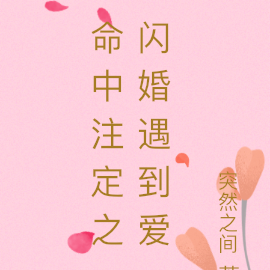 命中注定之闪婚遇到爱