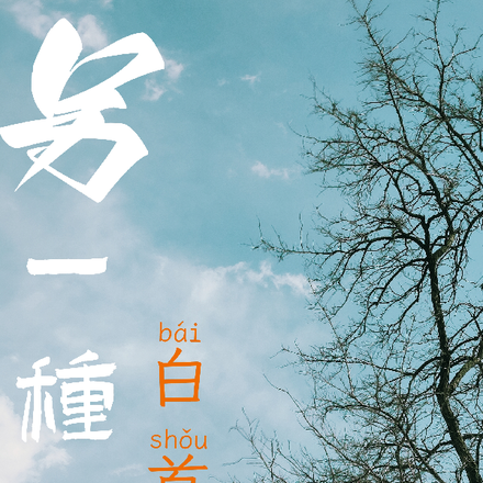 另一种白首
