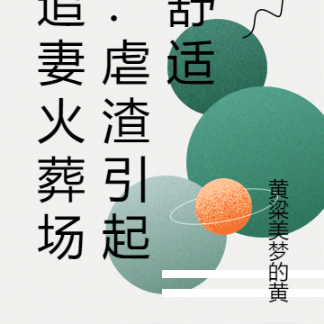 追妻火葬场:虐渣引起舒适
