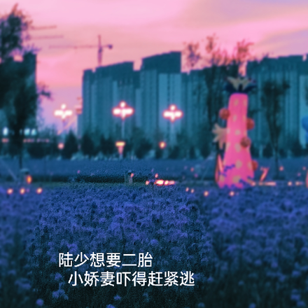 陆少想要二胎,小娇妻吓得赶紧逃