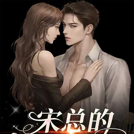 宋总的带娃娇妻