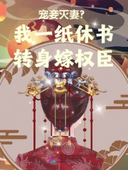 宠妾灭妻?我一纸休书转身嫁权臣