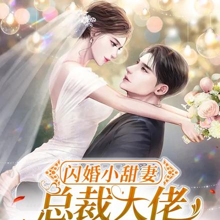 闪婚小甜妻,总裁大佬沦陷了