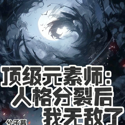 顶级元素师:人格分裂后我无敌了