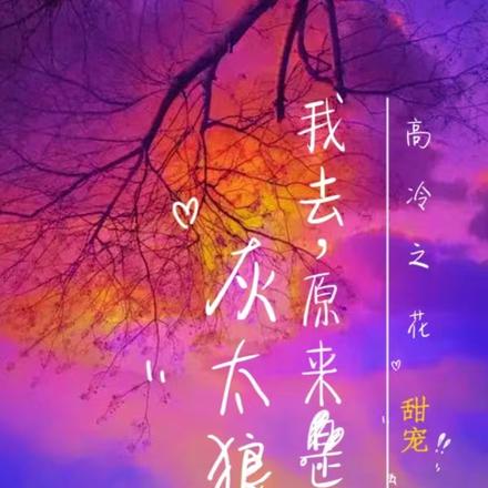 高岭之花，我去，原来是只灰太狼