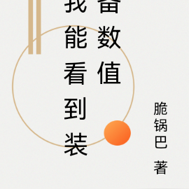 我能看到装备数值