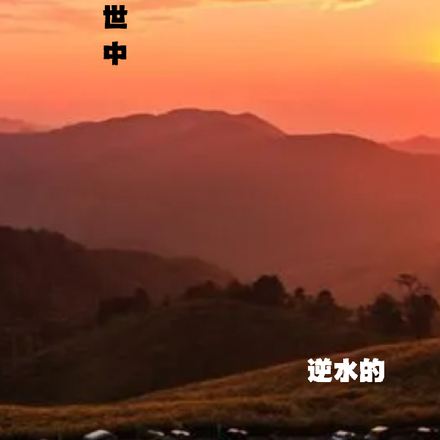 人在末世中