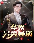 最新华娱导演小说